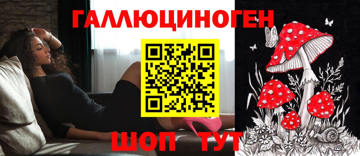 Юрга  Галлюциногенные грибы мухоморы  где найти   Вход с VPN 
